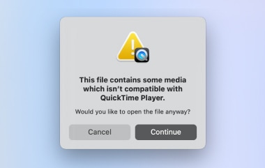 此文件与 QuickTime Player 不兼容。