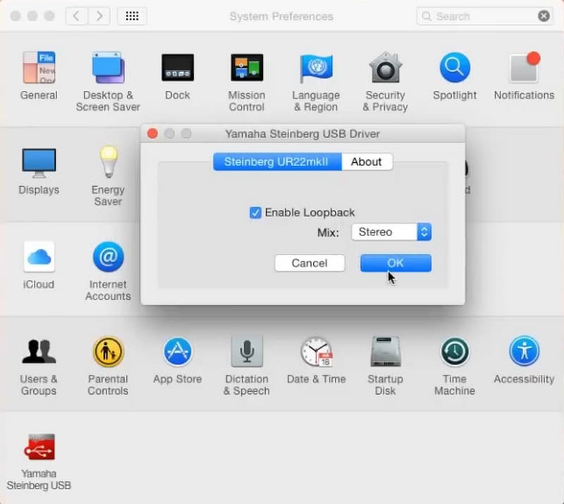 Enable Loopback