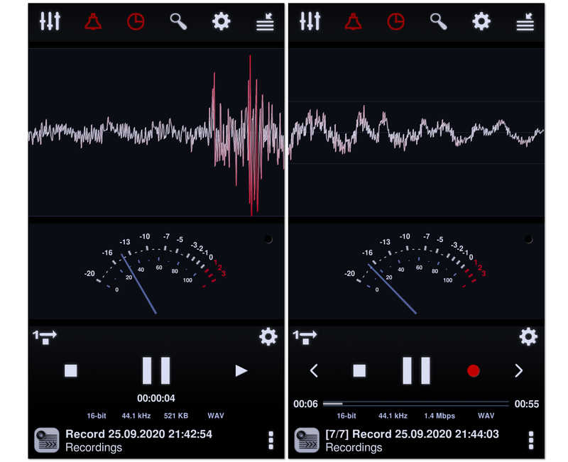Neutron Audio Recorder