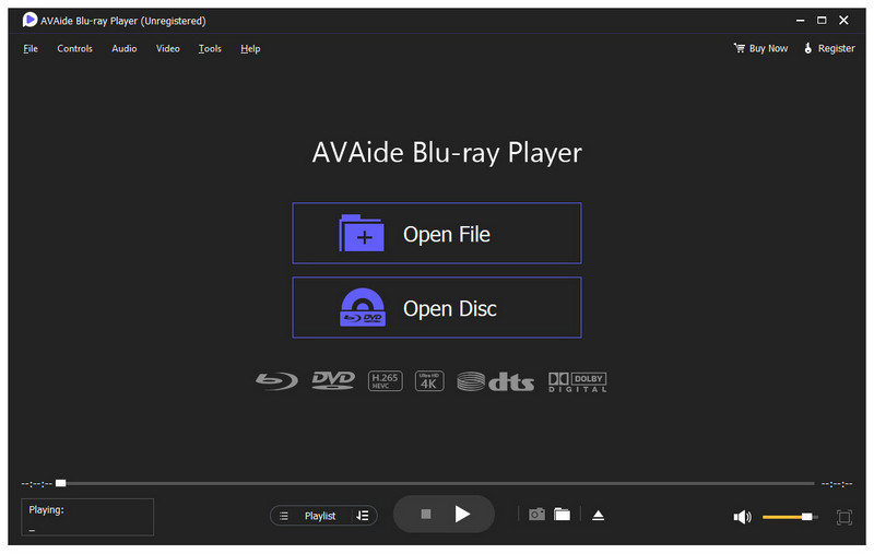AVAide Blu-ray Player Screenshot