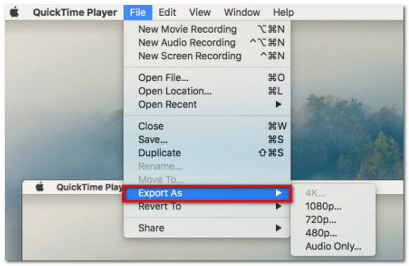Quicktime Export AS