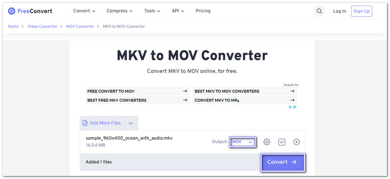 FreeConvert I migliori modi online per convertire MKV in MOV