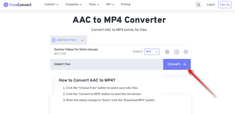 Commencer la conversion en MP4