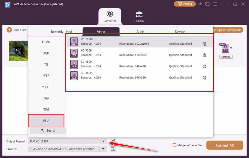 Select FLV Format