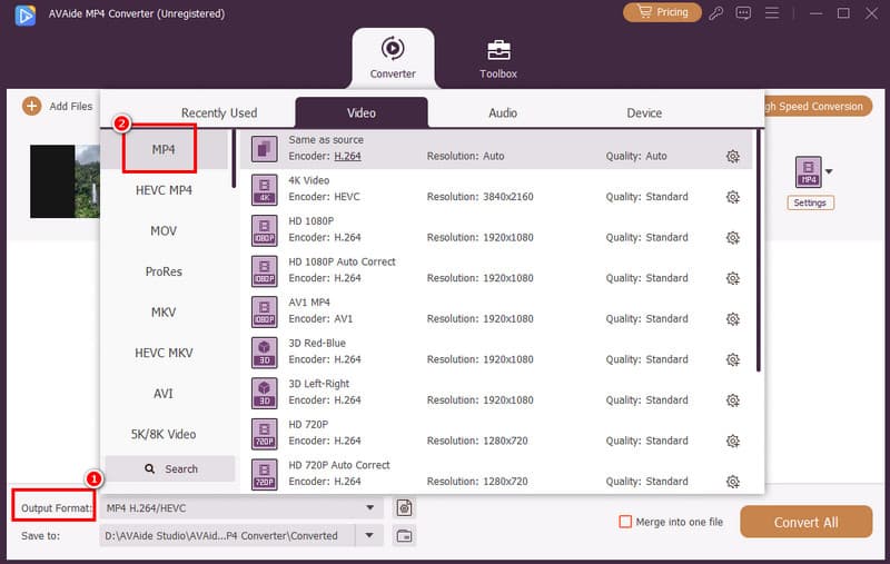 Output Format MP4 Avaide