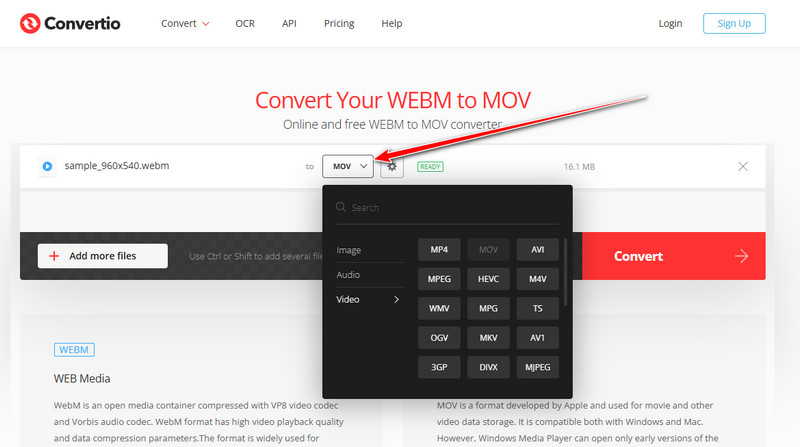 Webm'den MV'ye Dönüştürme