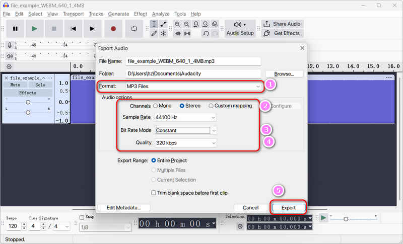 Convert WebM to MP3 in Audacity