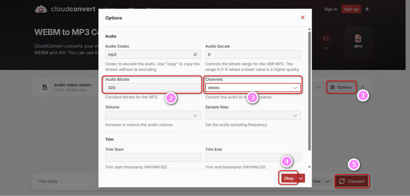 Convert WebM to MP3 with CloudConvert