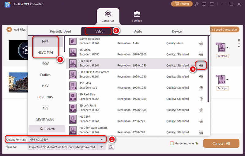 Choose An Mp4 Preset In Avaide