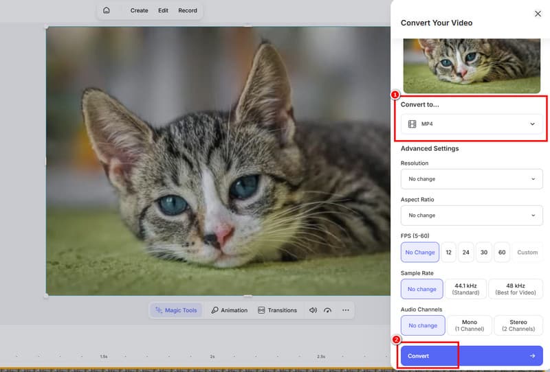 Convertește WMV în MP4