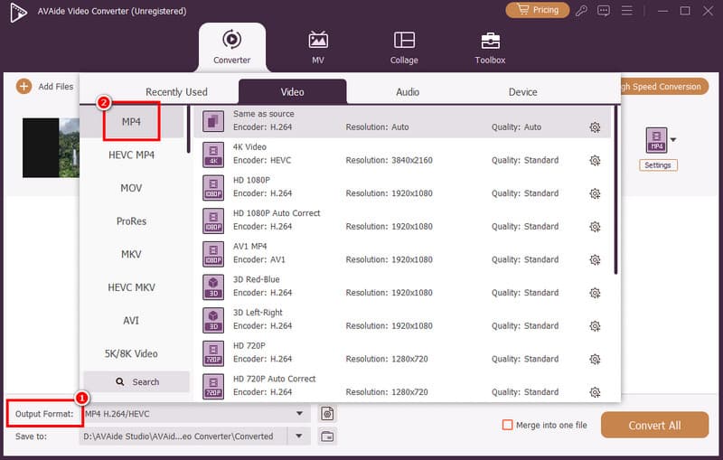 Output Format Pick MP4 Avaide