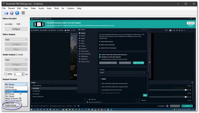 Avidemux Konverter MKV til Webm