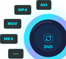 DVDをデジタルフォーマットに変換