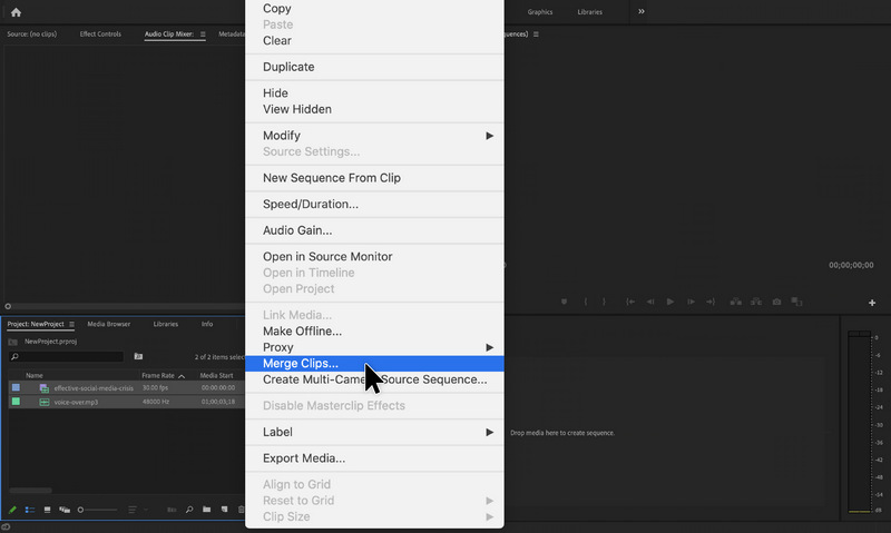 Adobe Premiere Pro