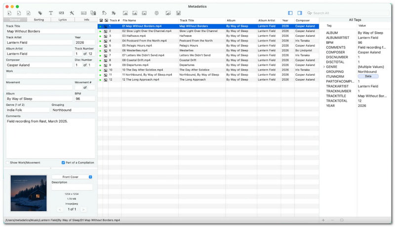 Metadatics Tag Editor