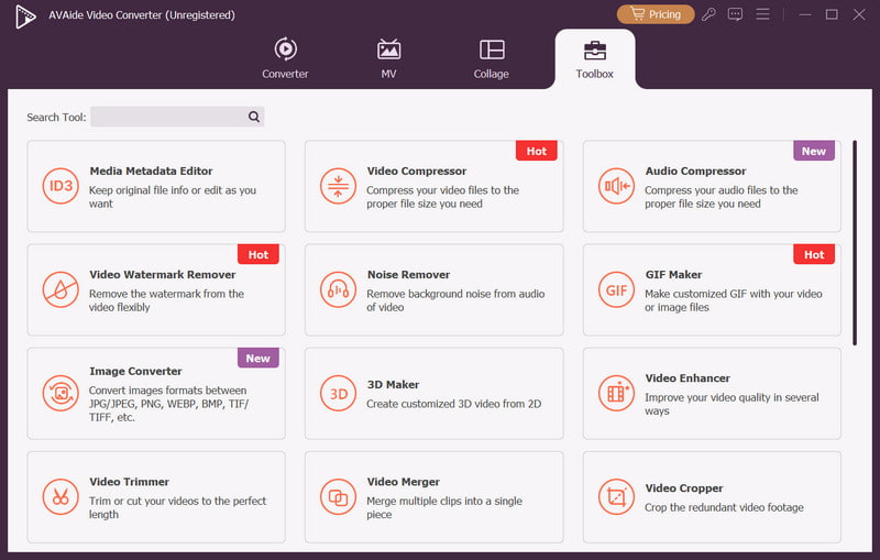 Avaide Video Converter-Schnittstelle