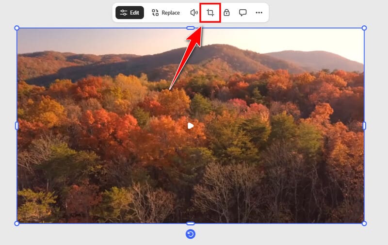 Adobe Express Crop Video