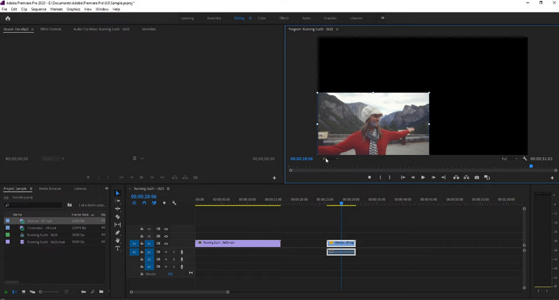 Premiere Pro Interface