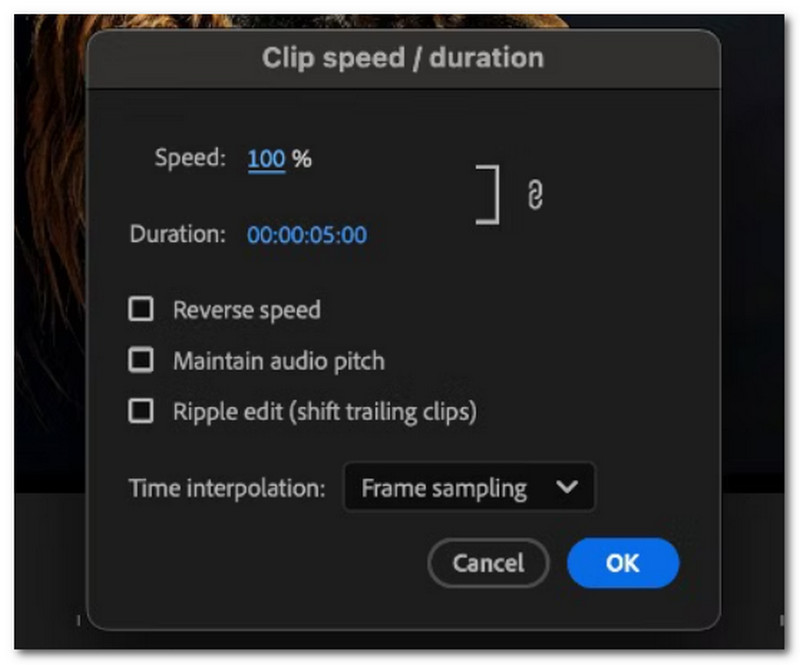 Adobe Premiere Pro