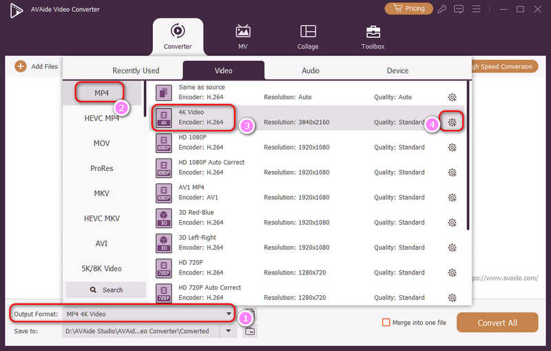Choose a Preset in AVAide Video Converter