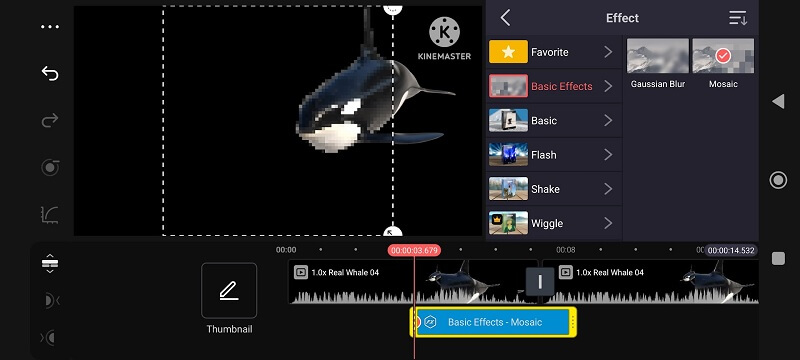 Video sfocati Kinemaster