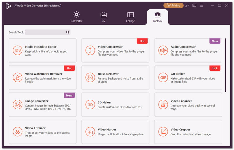 Avaide 视频转换器