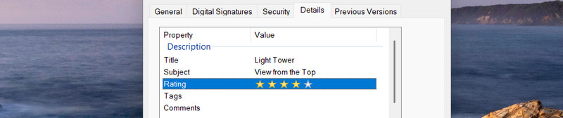 What Metadata Descriptive