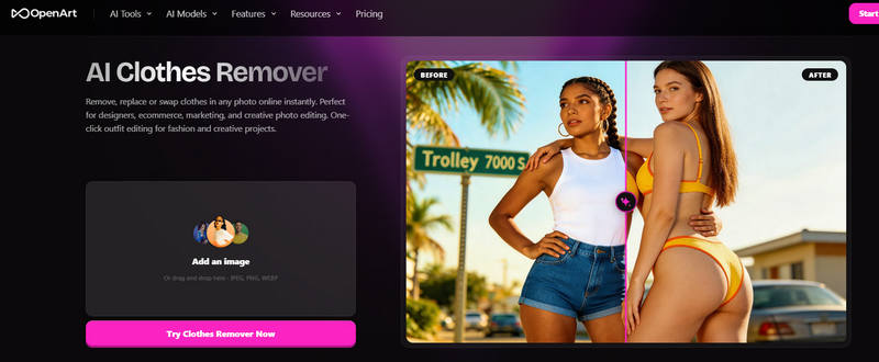 Open Art Ai Penghapus Pakaian
