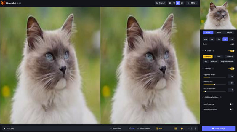 Topaz Gigapixel Bild-Upscaler