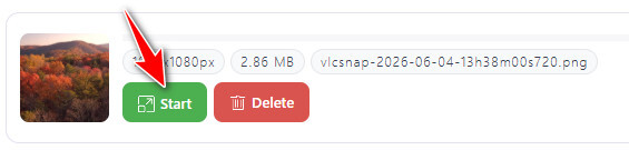 Bigjpg Start Upscaling