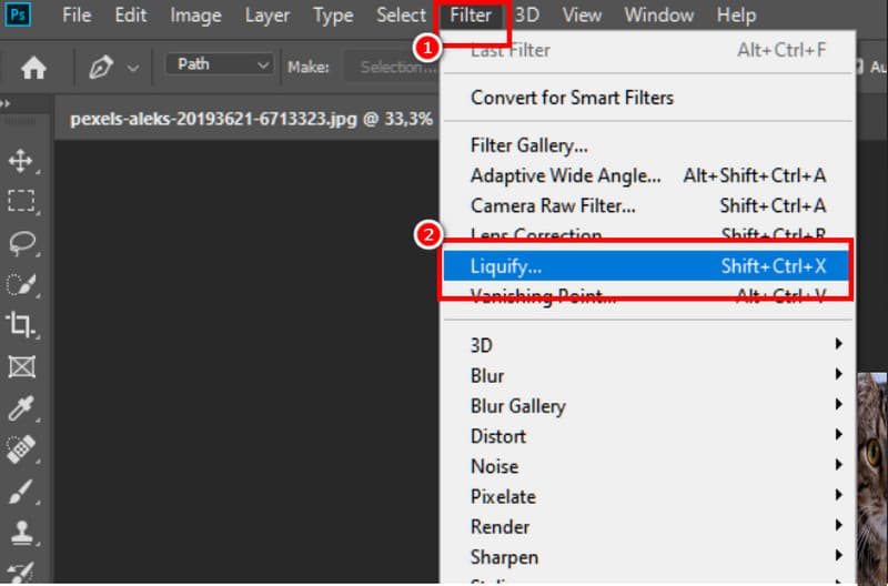 Liquify Reconstruct Photoshop