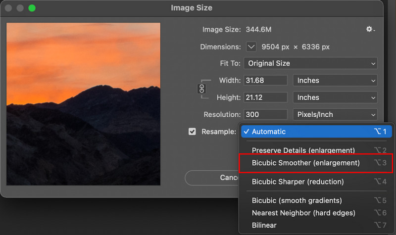 Bicubic Smoother Photoshop