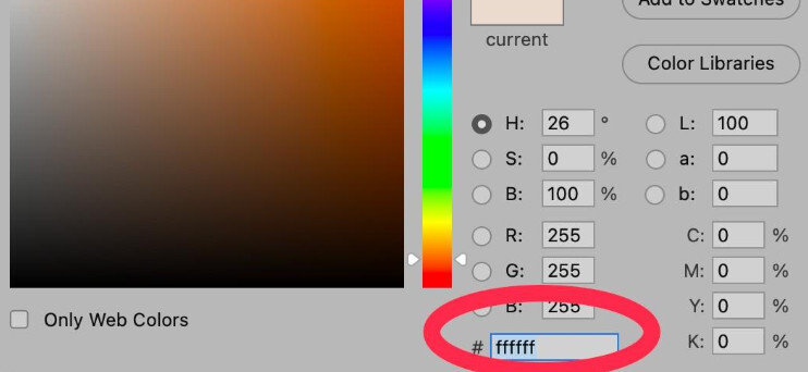 Ensemble Photoshop de remplissage blanc pur