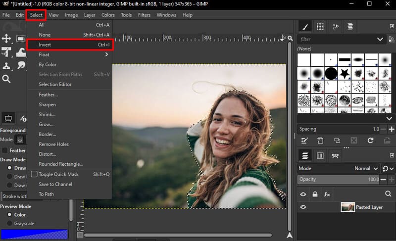 Inverti selezione in GIMP