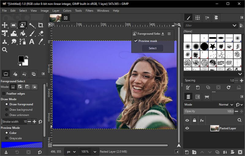Pincel y vista previa de Gimp