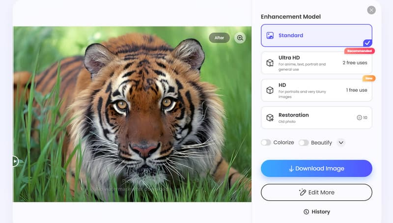 What Is Picwish Photo Enhancer
