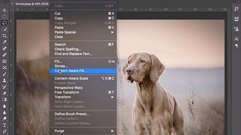Remplissage intelligent Photoshop