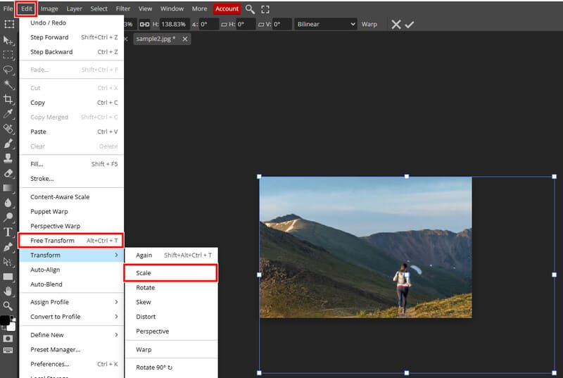 Photopea Free Transform Scale