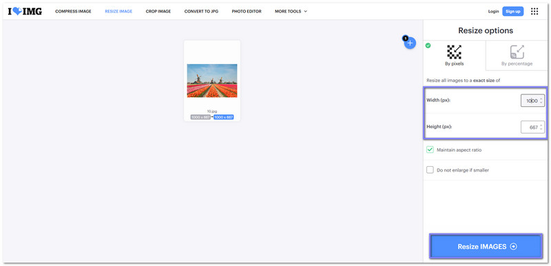 Redimensionare imagine Jpg