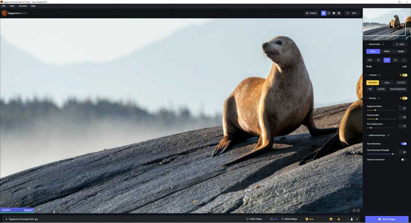 Caratteristiche principali Gigapixel