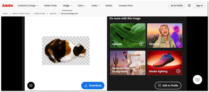 Adobe Free Online Remover