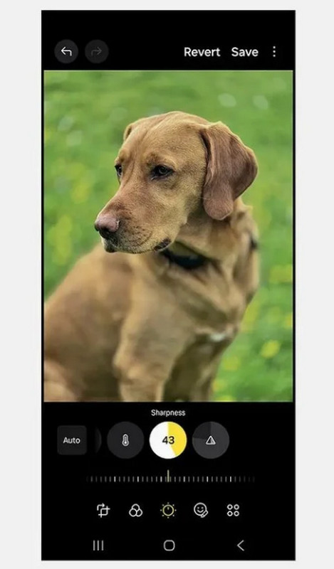ضبط حدة الصورة على نظام أندرويد