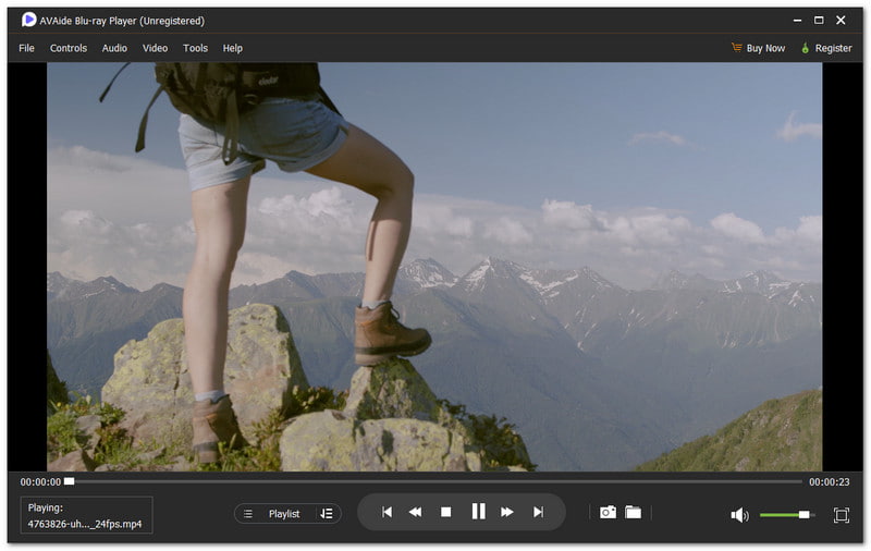 AVAide ブルーレイプレーヤー 最高の4K DVDプレーヤー