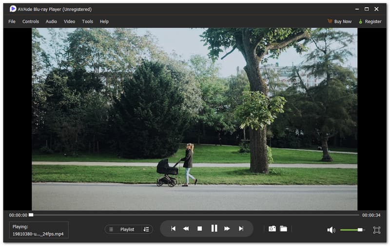 Player Blu-ray AVAide Cel mai bun player Blu-ray