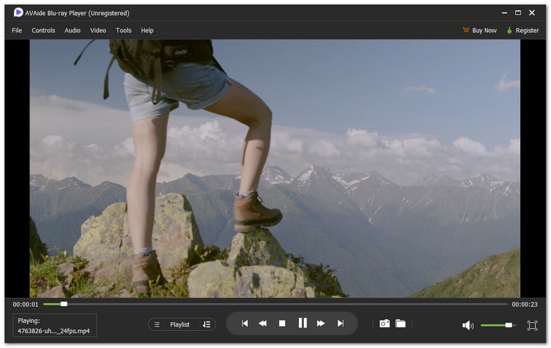 AVAide مشغل Blu-ray