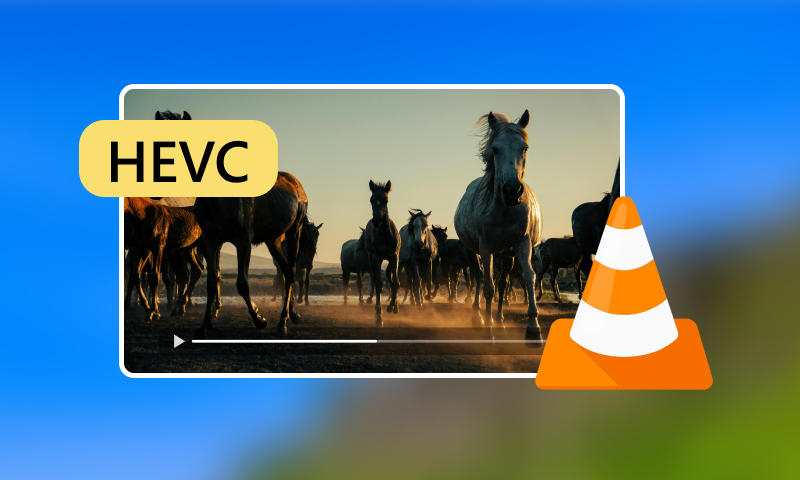Umí VLC přehrávat HEVC?