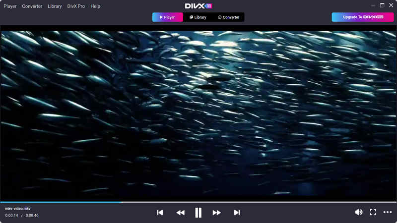 DivX Player Hevc Support