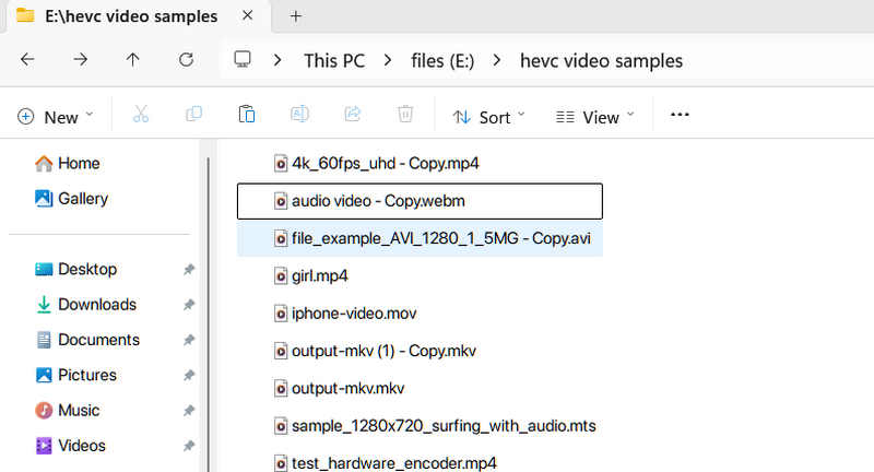 Our Tested HEVC Files