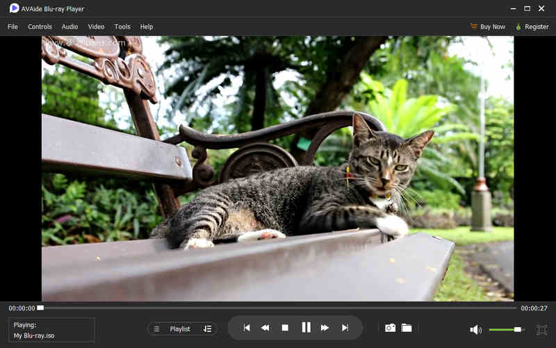 Blu Ray Iso Playback In Avaide