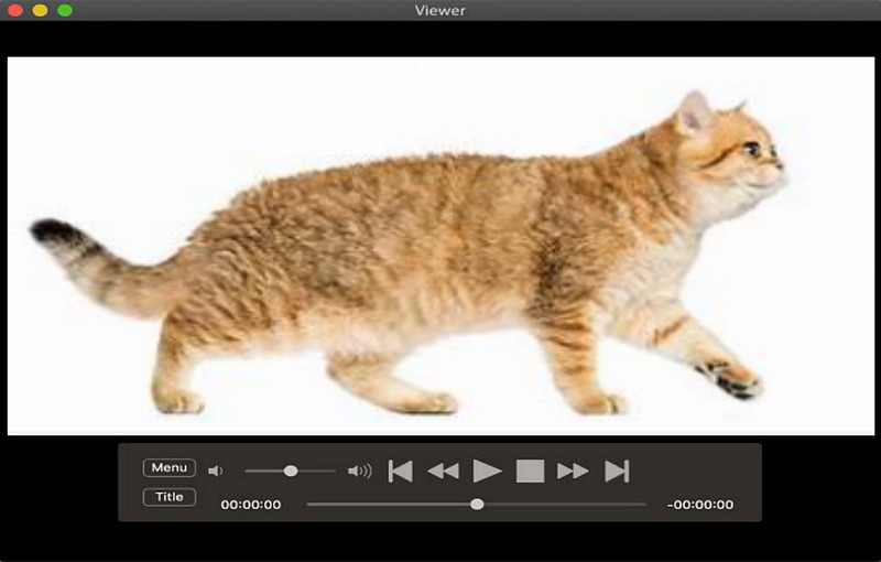 Riproduci DVD sull'unità integrata del Mac
